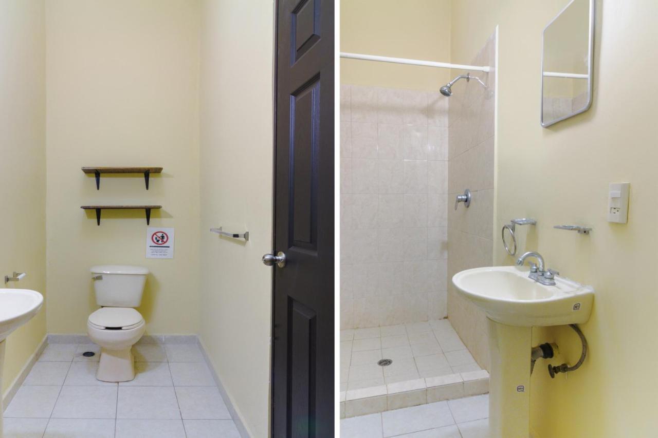 Ecohabit, Monterrey Otel Apodaca Dış mekan fotoğraf