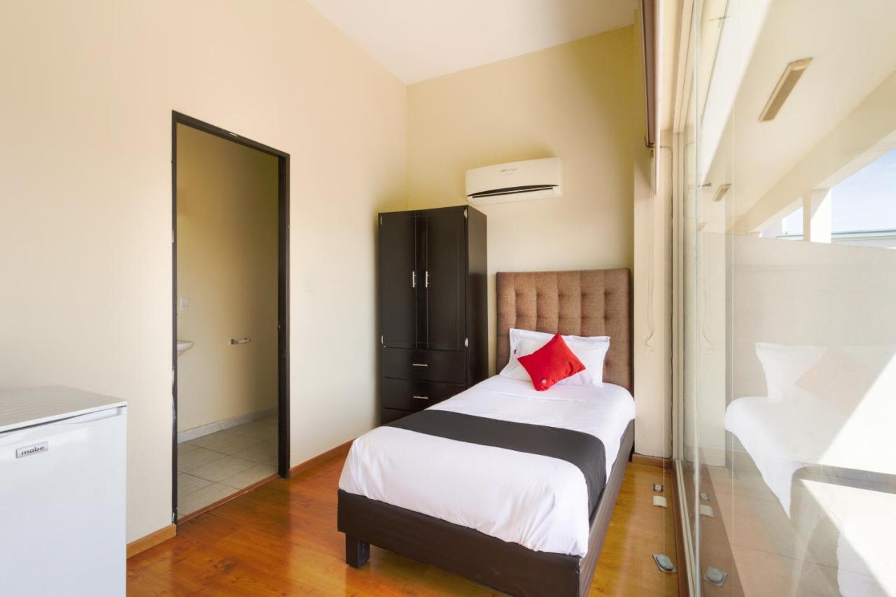 Ecohabit, Monterrey Otel Apodaca Dış mekan fotoğraf