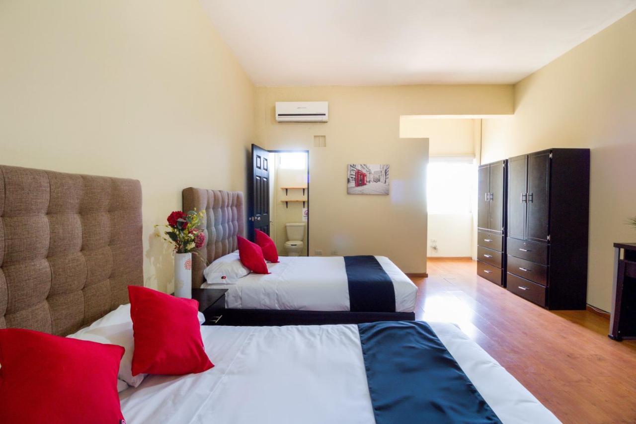Ecohabit, Monterrey Otel Apodaca Dış mekan fotoğraf