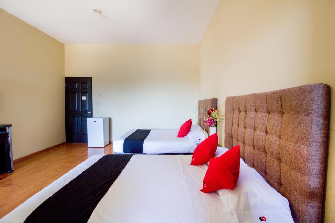 Ecohabit, Monterrey Otel Apodaca Dış mekan fotoğraf