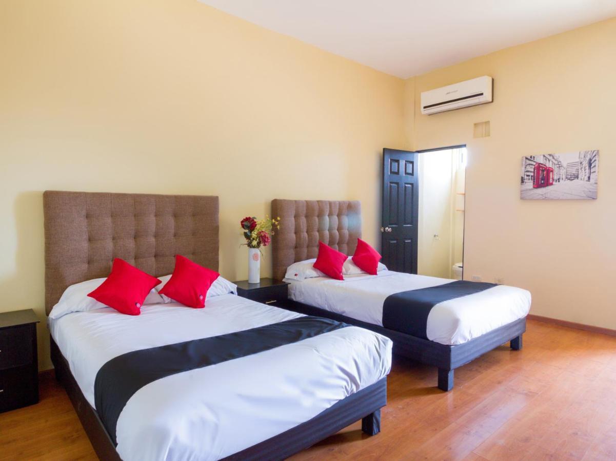 Ecohabit, Monterrey Otel Apodaca Dış mekan fotoğraf