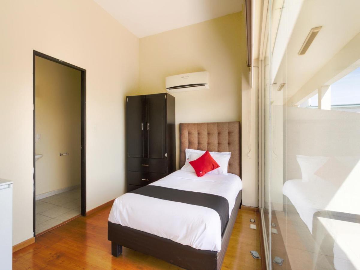 Ecohabit, Monterrey Otel Apodaca Dış mekan fotoğraf